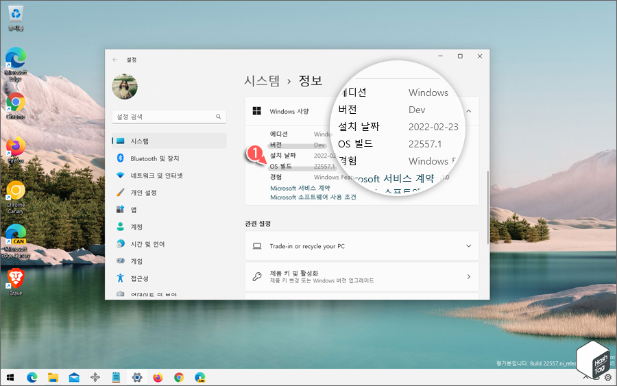 Dev 채널 22557.1 빌드