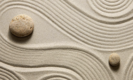 INTP 유형 특징 분석