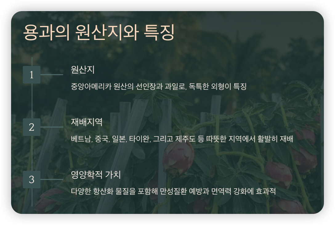 용과-원산지