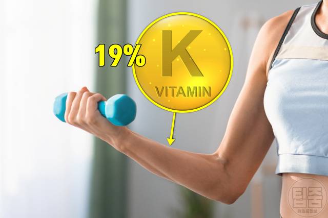 오이물 효능 오이물 만들기