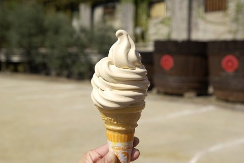 간장 소프트 아이스크림(しょうゆソフトクリーム)
