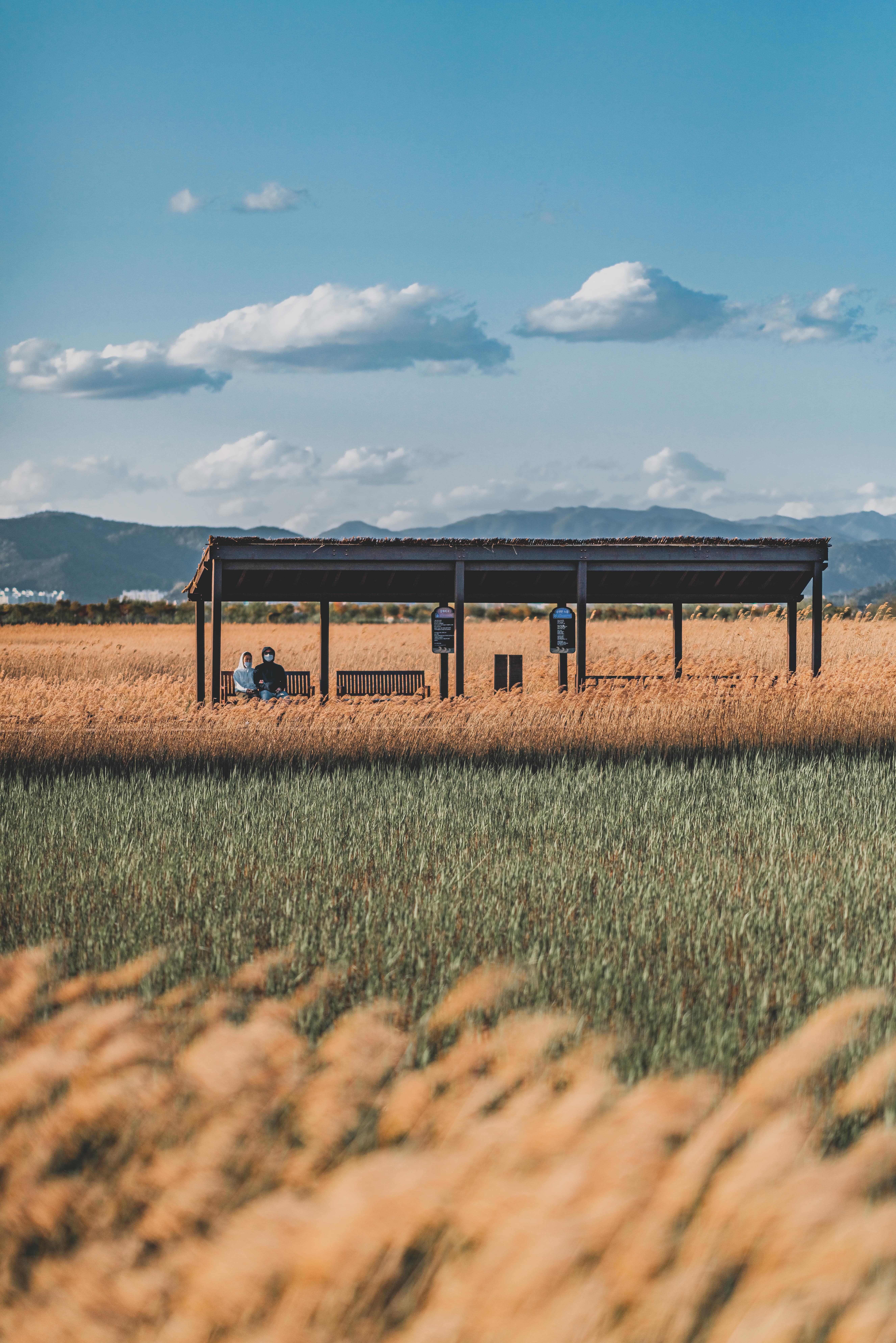 전남 순천만 습지