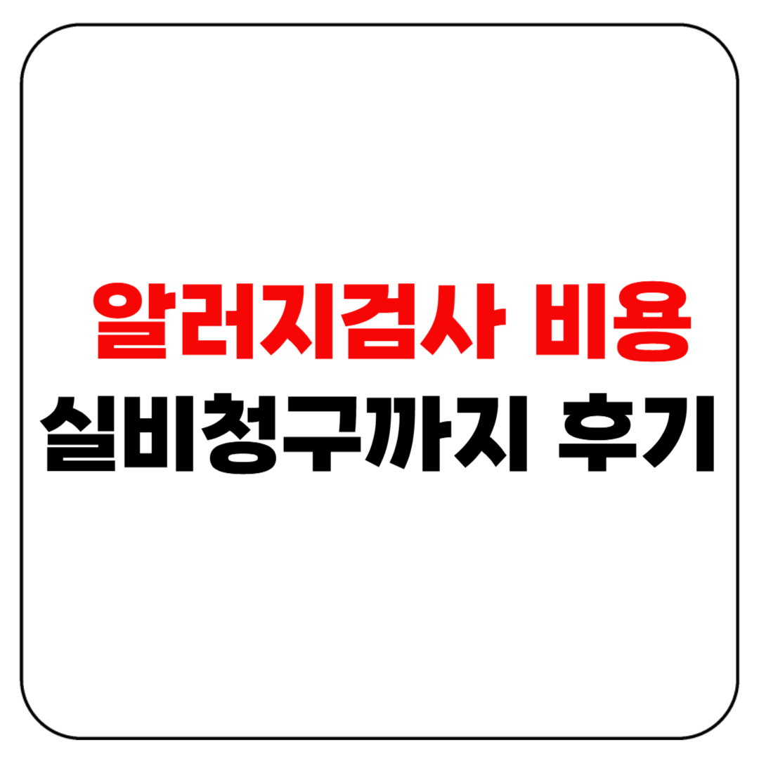 알러지검사 비용 실비청구까지 후기