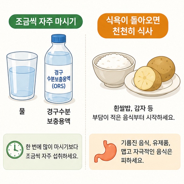 설사 중에는 물과 경구수분보충용액을 조금씩 자주 마시고 식욕이 돌아오면 부담이 적은 음식부터 먹는 방법을 설명한 이미지