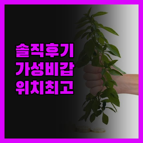 더 키 호텔 웨스트 코스트, 솔직히 