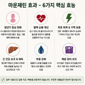 마운제린-내돈내산-후기-먹는법-효과-부작용-구매방법