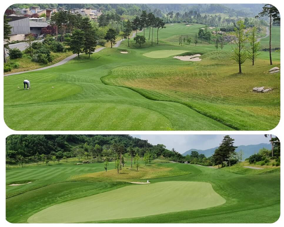 골프장 경험담 홍천 세이지우드cc 사람이 가장 쾌적함을 느끼는 해발 765m에서 경험하는 자연, 골프, 쉼