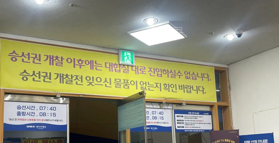 울릉도-2박3일-가족여행-후포항-울릉썬플라워-크루즈-차량선적-배편가격-발권꿀팁