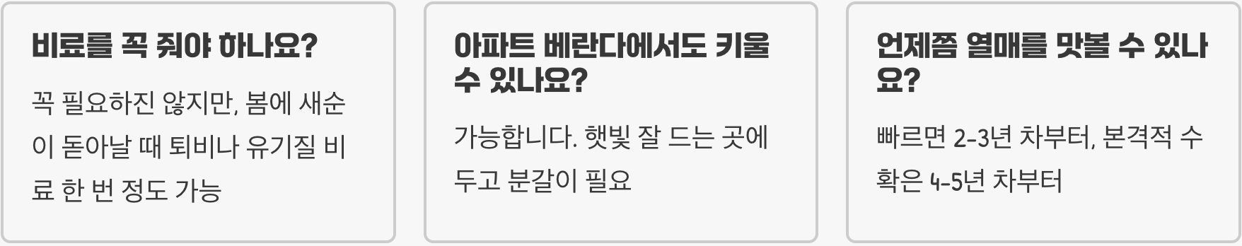 초보 텃밭러도 성공! 실패 없는 돌배나무 키우기 (모종 선택부터 수확까지 A to Z)