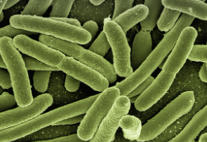 신혼부부 임차금 지원
