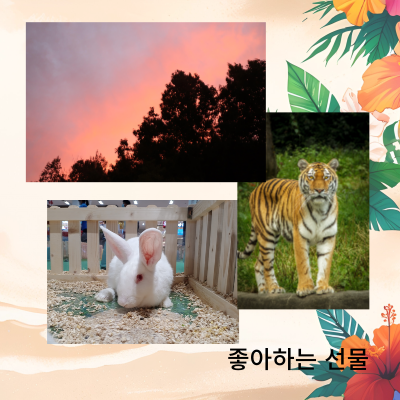 벙띠토끼띠용띠가좋아하는선물