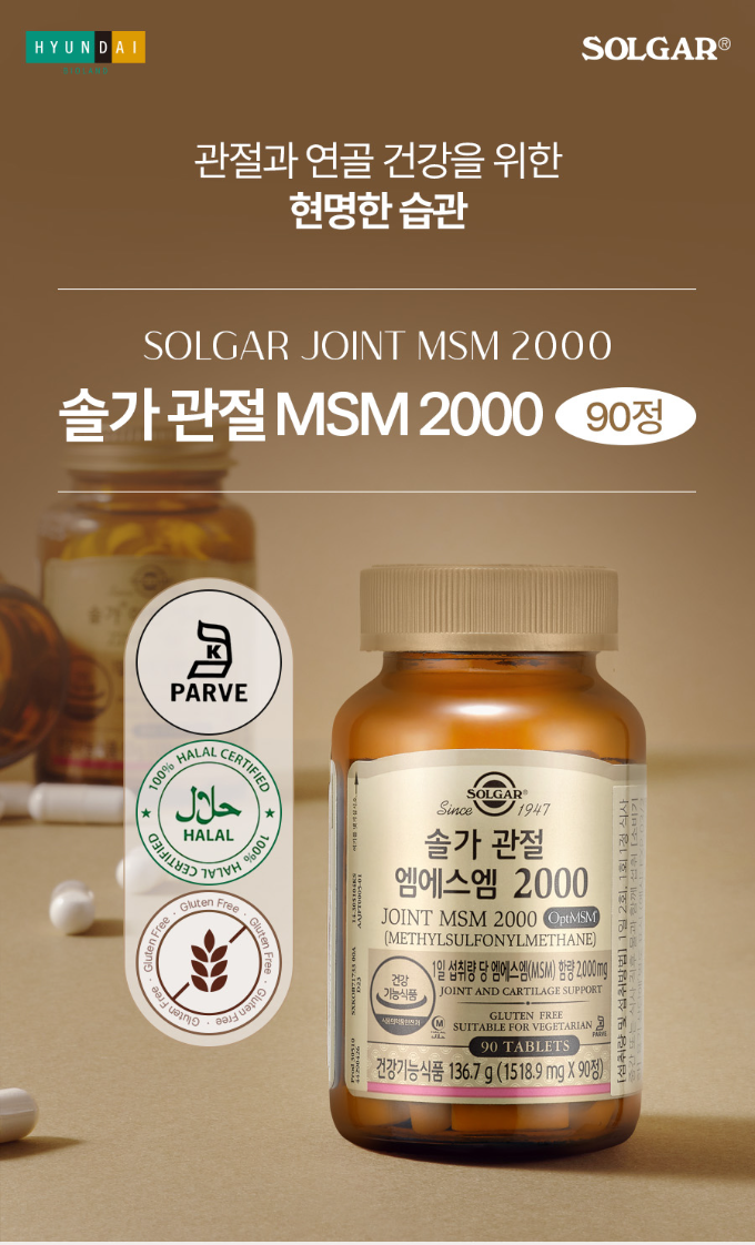 네고왕 솔가