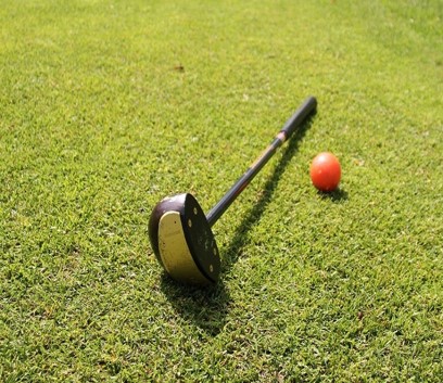 파크골프 공 예시