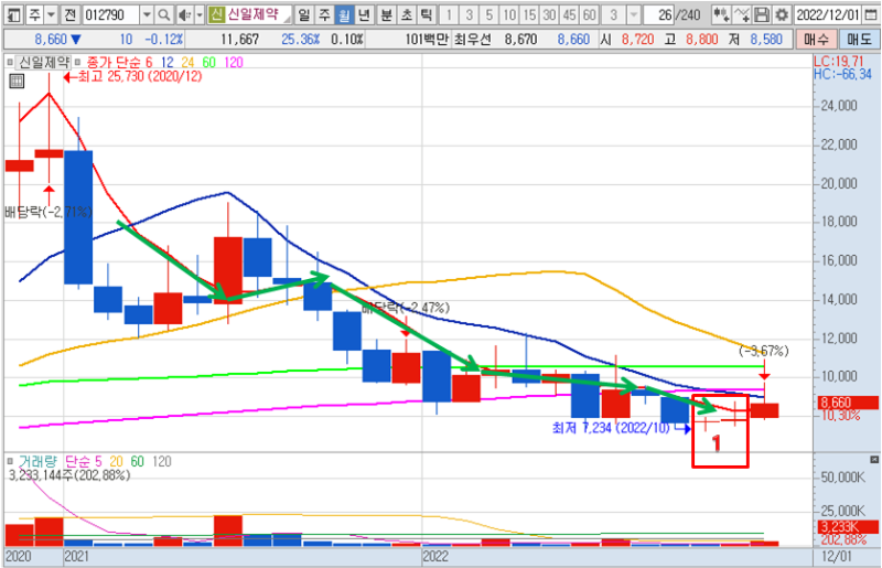2022년 12월 28일 신일제약 월봉 차트