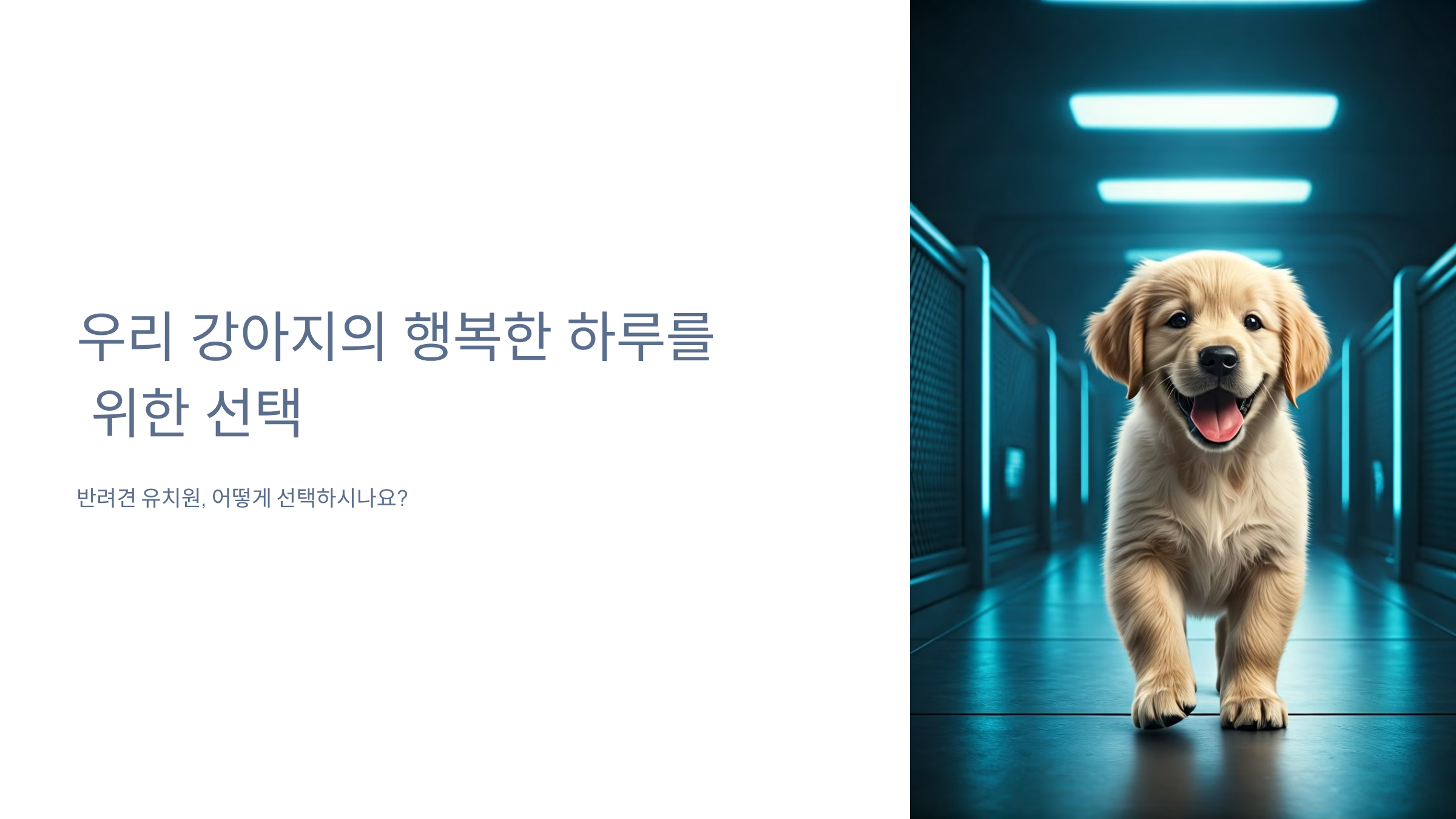 반려동물 유치원 선택할 때 실패하지 않는 7가지 체크포인트 🐕