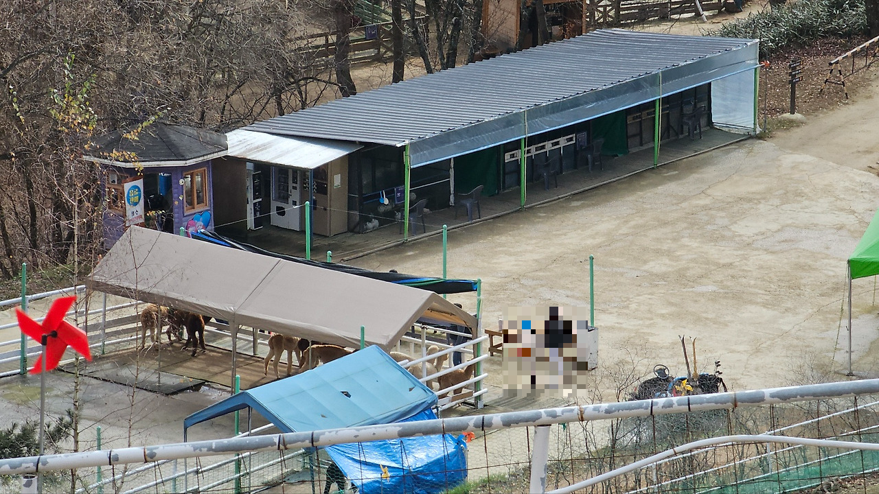 [24.11월] 아이와 평창 #1 - 모나 용평리조트 애니포레🏔️