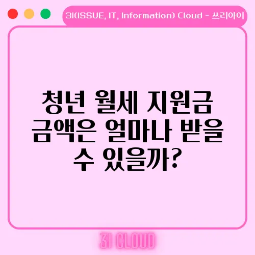 청년 월세 지원금 금액은 얼마나 받을 수 있을까?
