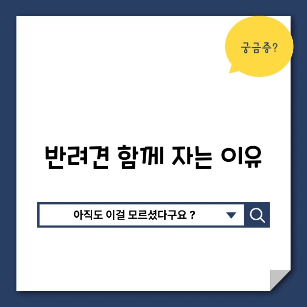 반려견 수면 자세 분석 원인