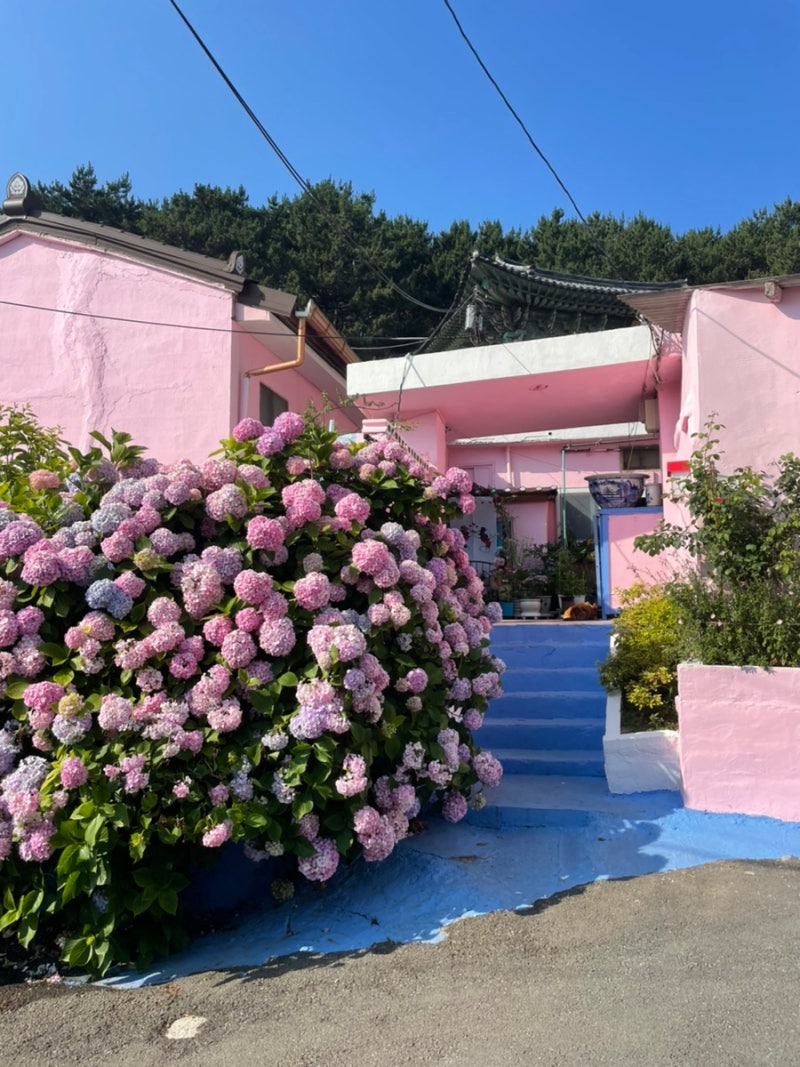 부산 영도 분홍집