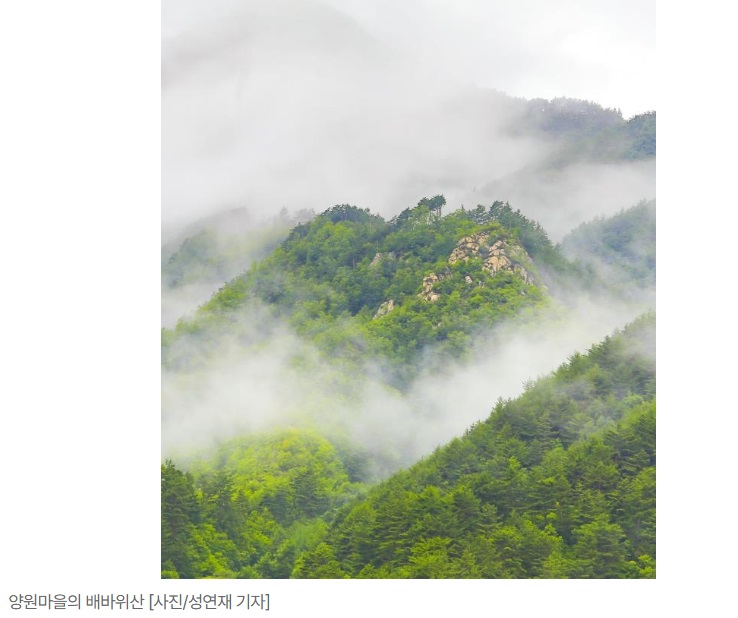 봉화-토종벌꿀-윤재원