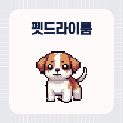 펫드라이룸 추천