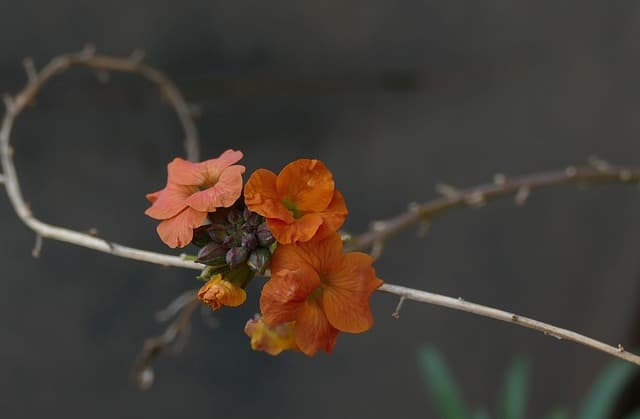 [6편]시간을 바르는 직업, 옻칠 장인