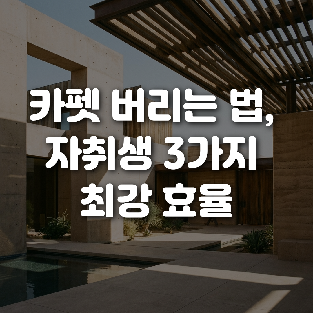 카펫 버리는 법 자취생 3가지 최강 효율