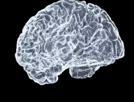 뇌졸중 치료방법 진단 합병증