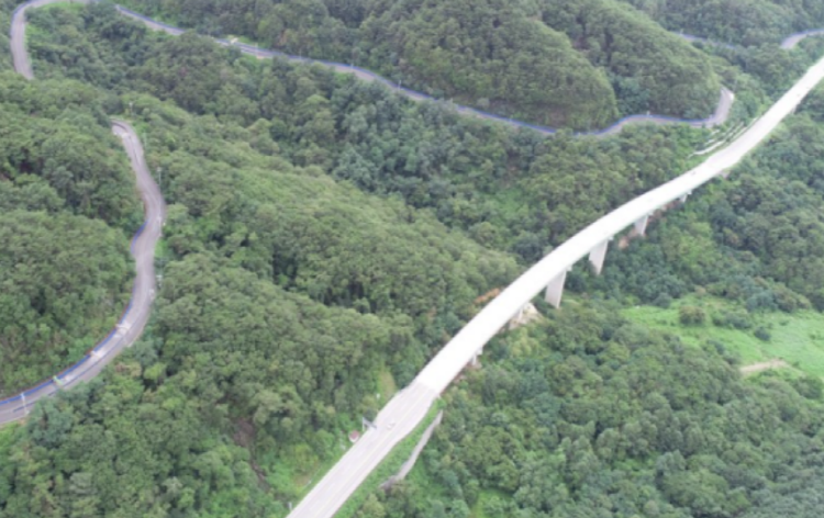 횡성 루지체험장