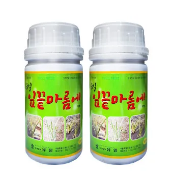 화분 잎끝마름 해결 습도관리 분무타이밍 물주기조절 실내가습 요령_31