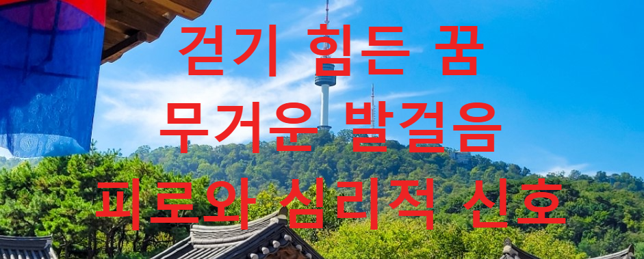 꿈과건강