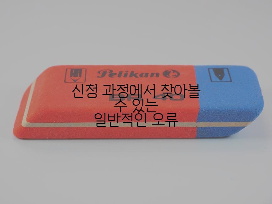 신청 과정에서 찾아볼 수 있는 일반적인 오류