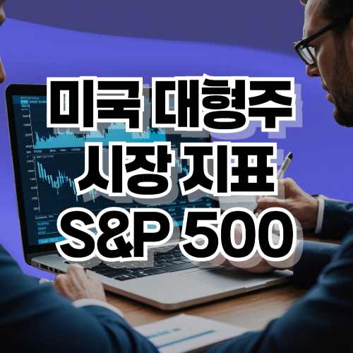 미국 대형주 시장 지표 S&amp;P 500