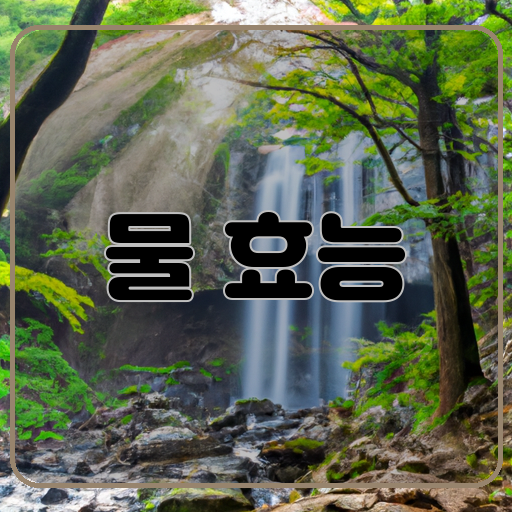 보호:-치유:-활력: