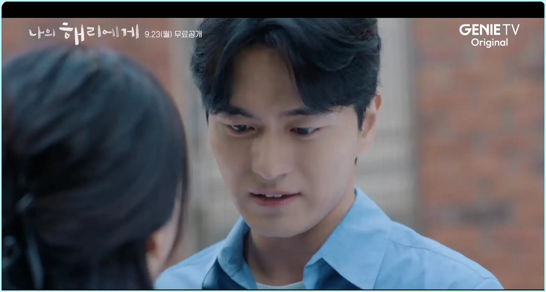 나의 해리에게 등장인물 인물관계도 줄거리 ott