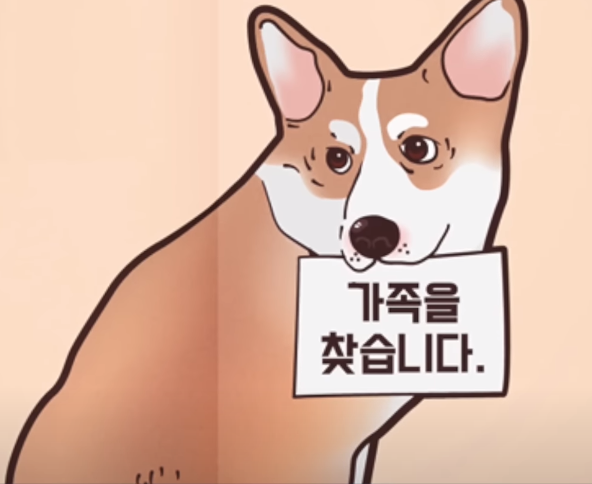 유기 동물 보호소