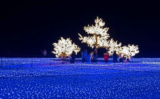 부산 해운대 빛축제