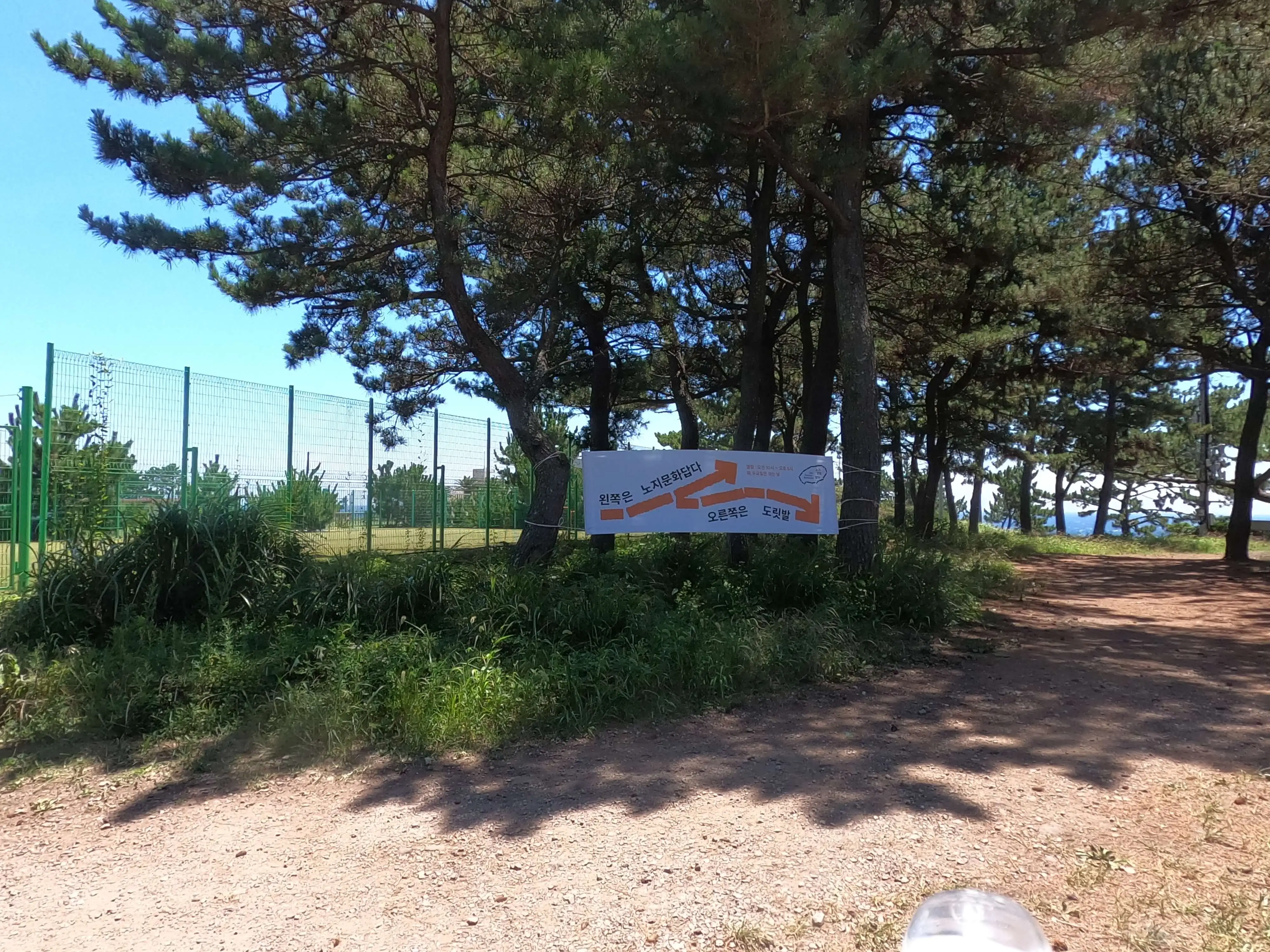 서귀포 도릿발 바다 전경 – 초보자도 즐길 수 있는 무료 스노클링 명소