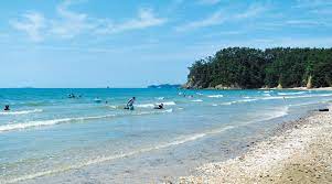 보령 가볼 만한 곳