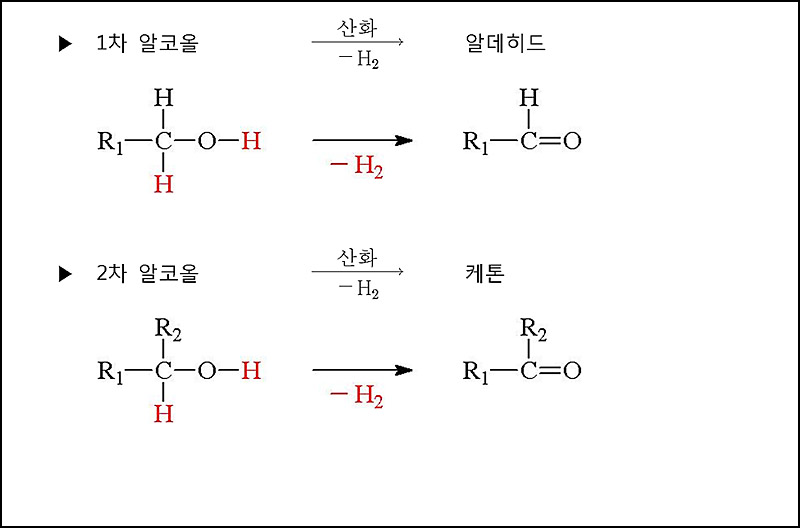 알코올의 산화
