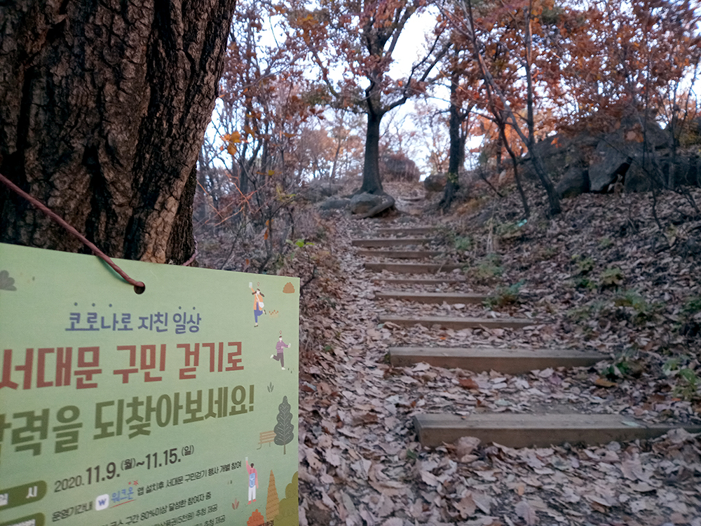 서대문구 백련산능선길 나혼자걷기 챌린지