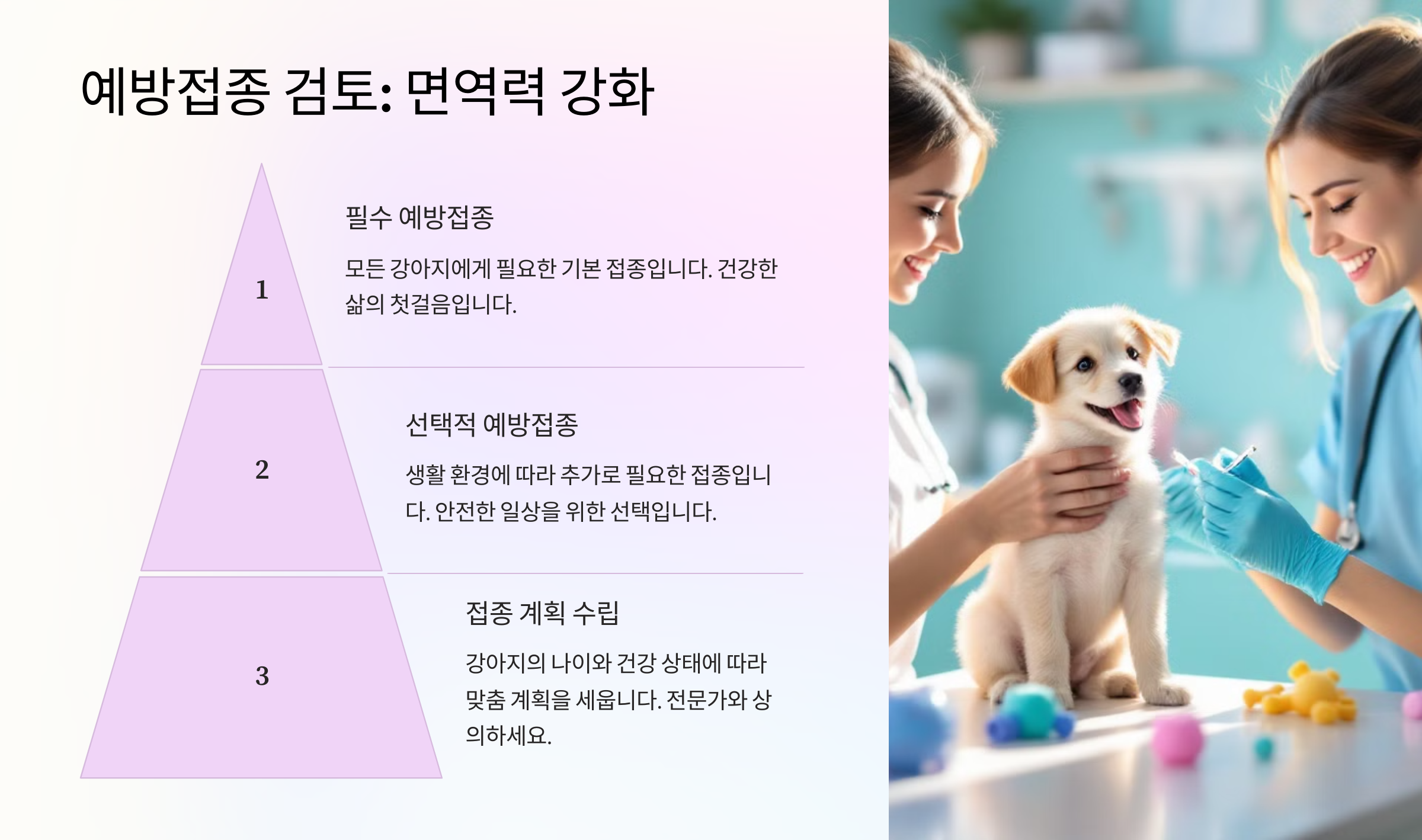 예방접종 검토
