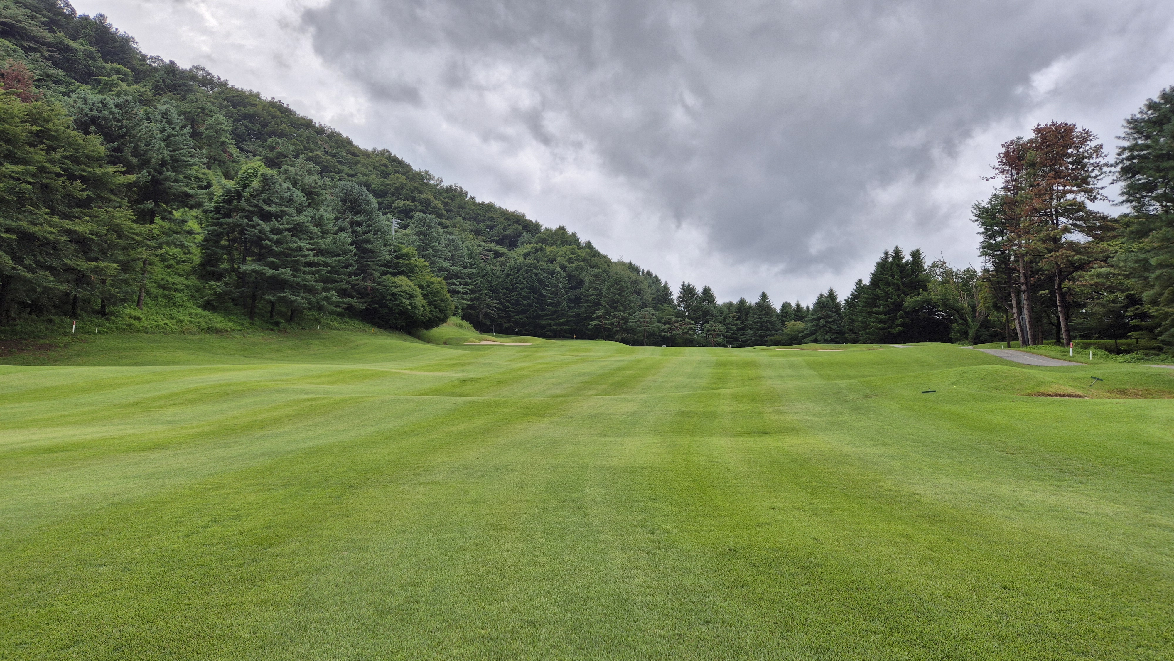 뉴서울cc 예술in-문화in 코스 사진 및 공략 정보