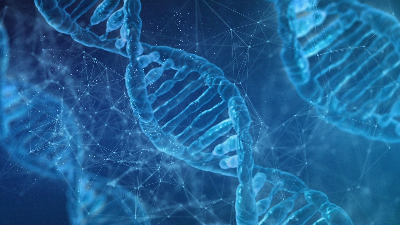 DNA 분석의 역할