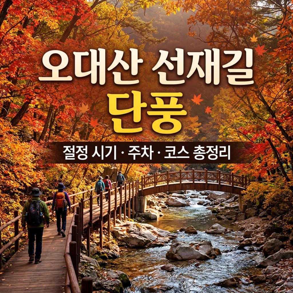 오대산 선재길 단풍