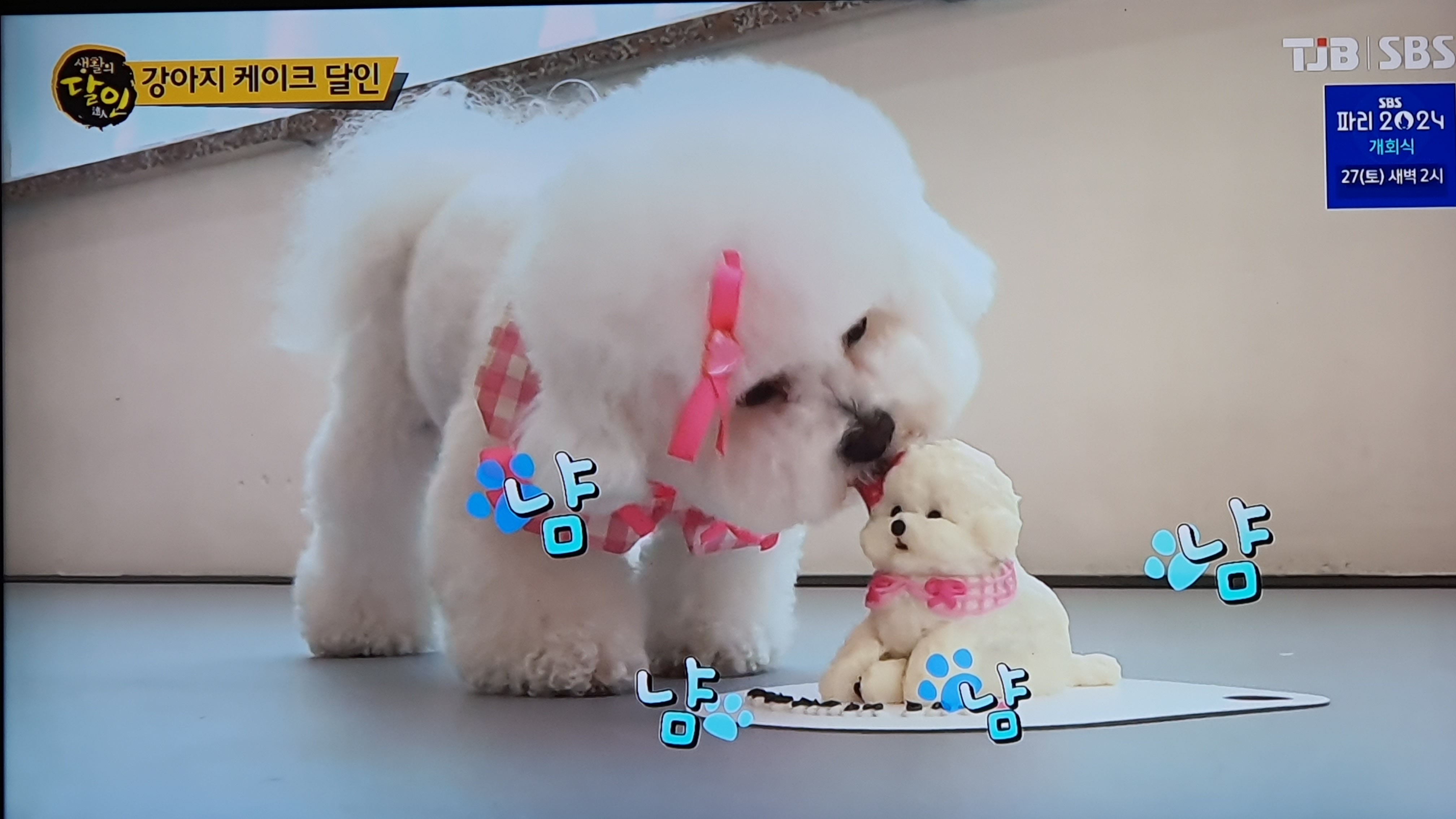 왈테이블 가격 정보