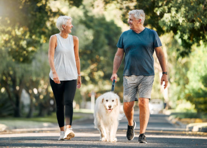 행복하게 사는 노부부 관련 사진