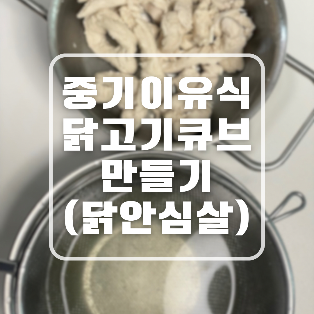 중기이유식 닭고기 큐브