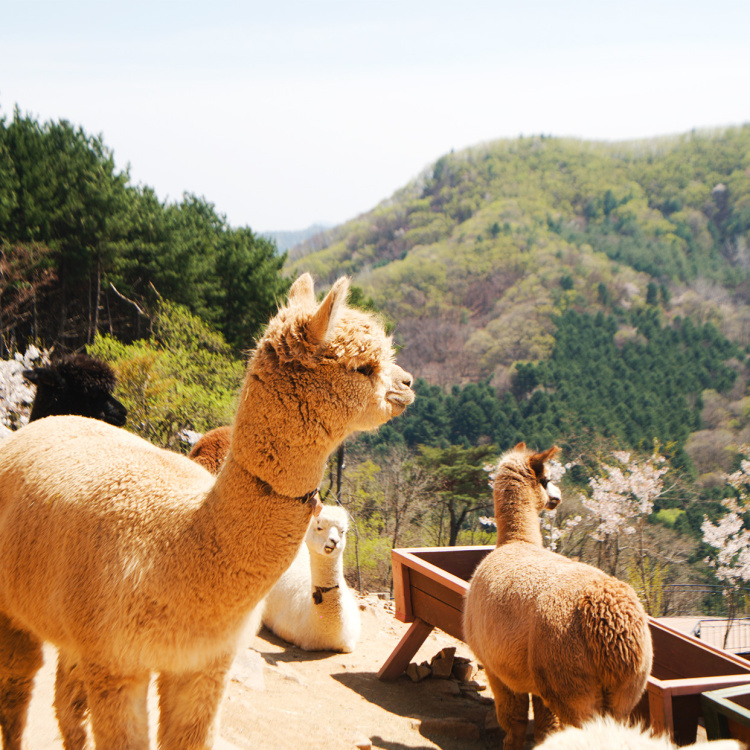 어린이날 가볼만한 곳