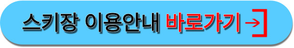 스키장상세안내